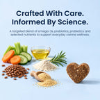 Daily Multivitamin